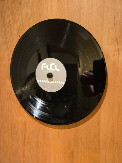 Vinyl Record Mount with Nut